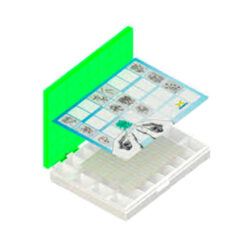 Caja Organizadora multiuso