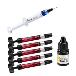 Brilliant NG Coltene Kit 5 Jeringas + ETCHANT + One Coat Bond SL